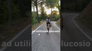 Il CARBO migliore per la bici  le regole del nutrizionista cycling cyclingnutrition cyclinglife [upl. by Seow192]