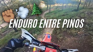 Sendas de Enduro entre Pinos ✊🏽💨🌲  Enduro LR [upl. by Elenaj]