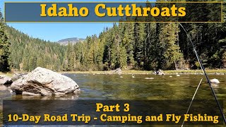 Part 3  Idaho Cutthroats  10day Fly Fishing and Van Camping Road Trip [upl. by Mariejeanne]