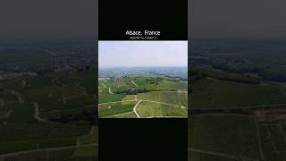 Alsace wine hospitality education course winetime wineeducation france free [upl. by Masterson]