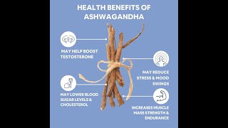 Ashwagandha Improving mental physical sleep and immune system balancePowerful Root [upl. by Farleigh]