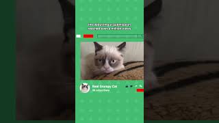 Heres the history behind the internets most iconic and most grumpy cat🐈️ grumpycat memes cat [upl. by Bridgid]