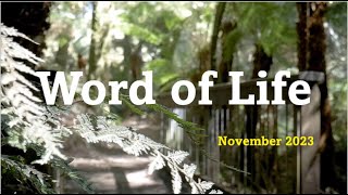 Word of Life November 2023 FocoB [upl. by Tenaj15]