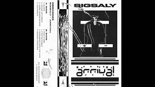 SIGSALY Aches Original Mix [upl. by Lotta275]