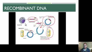 Forensic Science  DNA [upl. by Gylys510]