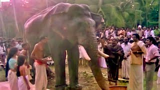 quotഗുരുവായൂർ കേശവന്റെ അവസാന നിമിഷങ്ങൾquot  Adoor Bhasi  Guruvayur Kesavan Climax Scene [upl. by Ezra757]