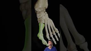 Juanetes o Hallux valgus muy visual 😍FisiolutionProfesional [upl. by Ahsimek]