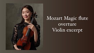 Mozart Magic flute overture violin excerpt [upl. by Gnaig]