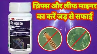 Deligate insecticide use hindi। spinetoram 117 sc insecticide use ।डेलीगेट कीटनाशक। [upl. by Siubhan]