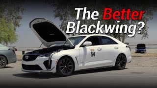 Cadillac CT4V Blackwing Review on Track  Buttonwillow Raceway [upl. by Werna71]