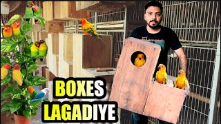 BOXES LAGADIYE 😍✅  PETS VLOGS  NEST BOX FOR PARROTS  How to set up a bird nesting box [upl. by Atnaloj]