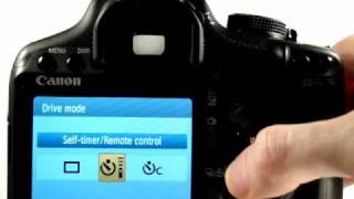 Canon EOS 500D Tutorial Video 8  Macro Mode [upl. by Anabal]