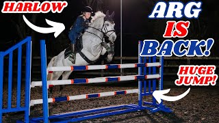 HARLOW JUMPS ARG WOW TOP TRACK 138CM SHOWJUMPING PONY [upl. by Nosidam543]