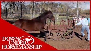 Clinton Anderson Presents Running Scared Training An Aggressive Horse [upl. by Nnairol90]