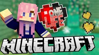 Amazing Discovery  Ep 13  Minecraft One Life [upl. by Meras]