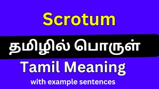 Scrotum meaning in Tamil Scrotum தமிழில் பொருள் [upl. by Esinert]