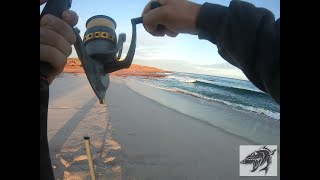 Kalbarri Red bluff Beach fishing kalbarri adventure [upl. by Aidile]