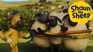 Shaun the Sheep 🐑 Captured Sheep  Cartoons for Kids 🐑 Full Episodes Compilation 1 hour [upl. by Raynold]