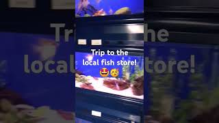 Trip to my local fish store Aqua Valley in Erpe Mere Belgium 🤩🥳 aquarium tropicalfish fishstore [upl. by Hafeetal]