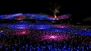 Field of Light at Sensorio  Paso Robles California [upl. by Freeborn]