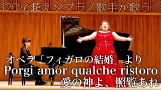 しおたん  フィガロの結婚「愛の神よ、照覧あれ」Porgi amor qualche ristoro ｜Le nozze di Figaro【やまぎん県民ホール】 [upl. by Ainar]