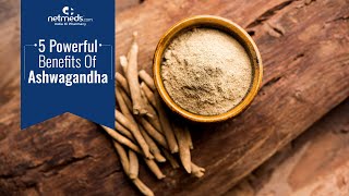 5 Powerful Benefits Of Ashwagandha  Ashwagandha Churna Recipe [upl. by Haraj588]