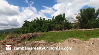 200 SQM Subdivided Farm Lot in San Felipe Zambale [upl. by Aimaj]