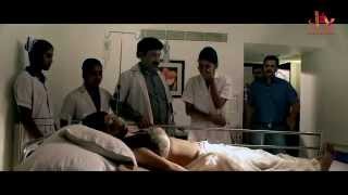 Creature 2014 Movie All Songs  Arijit Singh  Mithoon  Tulsi Kumar  Tonny Kakkar  Love Songs [upl. by Ylrrad]