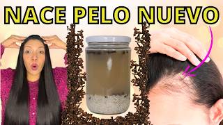 EL CABELLO CRECE COMO LOCO Y NO SE CAE😱LA MEJOR RECETA DEL MUNDO PARA CRECER CABELLO😍 [upl. by Yrmac850]