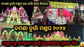 Damana Durga Puja 2024  Durga Puja 2024  Bhubaneswar Dussehra ❤️🥰🙏 [upl. by Nnaed]