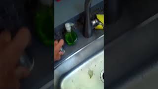 ✨ Dishwasher Isnt Draining  3 Minute Easy FIX ✨ diy dishwasherrepair [upl. by Asirral599]