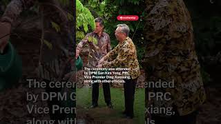 DPM Gan Kim Yong amp PRC Vice Premier Ding Xuexiang plants persimmon tree in Singapore Botanic Gardens [upl. by Harri]