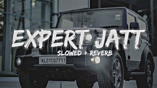 expert jatt  slowed  reverb  slowed LofiShies18 [upl. by Schiro128]