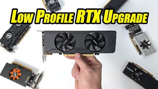 This New Low Profile GPU Might Just Be What Your SFF PC Needed [upl. by Nwaf]