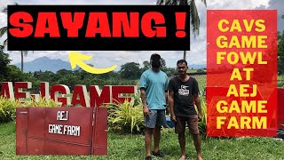 SAYANG PUNTA SA AEJ Gamefarm AEJ PRICE LIST  Big Farm In The Philippines [upl. by Boothman222]