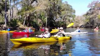 Kayaking  Steinhatchee River TDC Video [upl. by Hunley]