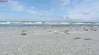 1 h Meeresrauschen Entspannung Wellenrauschen Wellen Strand Meer Ostsee HD [upl. by Nnelg613]