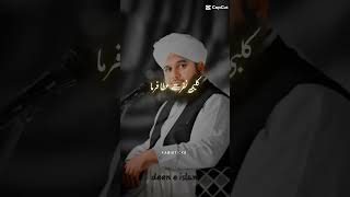 deen e islam Peer Ajmal Raza duayoutubeshortviraltrending [upl. by Annenn422]