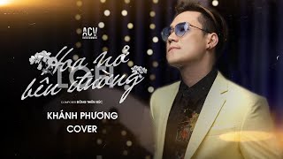 Hoa Nở Bên Đường  LOFI VER   Khánh Phương Cover  Mây Lấp Đi Cả Vùng Trời Chói Nắng [upl. by Tahp515]