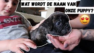 PUPPY UPDATE 🐕  FIETS AFLEVEREN BIJ WINNAAR 🚲  VLOG 75  FAMILIE VLOGGERS [upl. by Idnor]