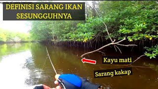 Rekor terbanyak mancing ikan dimuara cukup untuk ngasih makan sekampung [upl. by Neroc]