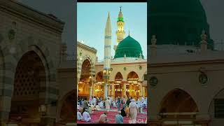 MADINA STUTS viralvideo short [upl. by Aicek561]