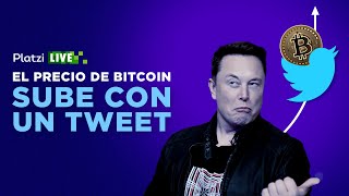 Cómo subir el precio del Bitcoin con solo un tweet  Caso Elon Musk [upl. by Camden690]