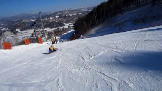 Sit SkiMono Ski Dream Program 2013 at Alpensia Pyeongchang South Korea [upl. by Agace]