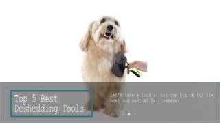 Top 5 Best Deshedding Tools [upl. by Hank]