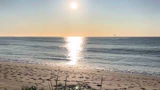 Sydney Surf Report Dee Why Beach Australia 20092024 [upl. by Melc]