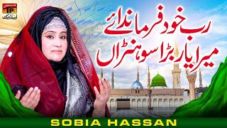 Rab Khud Farmanda Ay Mera Yaar Bara Sohna  Sobia Hassan  TP Islamic [upl. by Worthy]