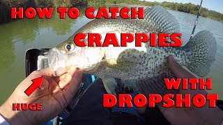 How to Dropshot For Crappies  Double Drop Shot Rig  Crappie Fishing [upl. by Akoyin477]