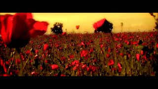 Sisu  Din Toate Florile  Official Video [upl. by Davis]