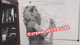 Sistema Vestibular  Resumo da anatomia fisiologia e função do Sistema Vestibular Periférico [upl. by Anihcak]